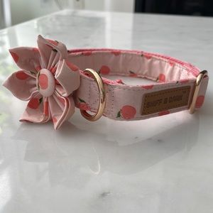 Sniff & Bark dog collar | MEDIUM | Peach print w/ removable flower & bow | NEW